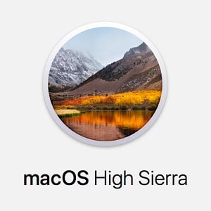Macos High Sierra 10.13 17a365 Dmg