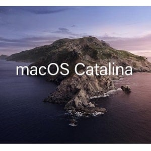 ms office for mac catalina free download