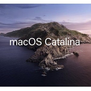 word for mac os catalina free download