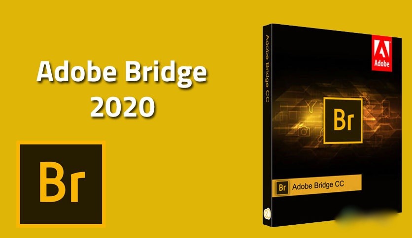 Where can you download Adobe Bridge CC 2020 for free