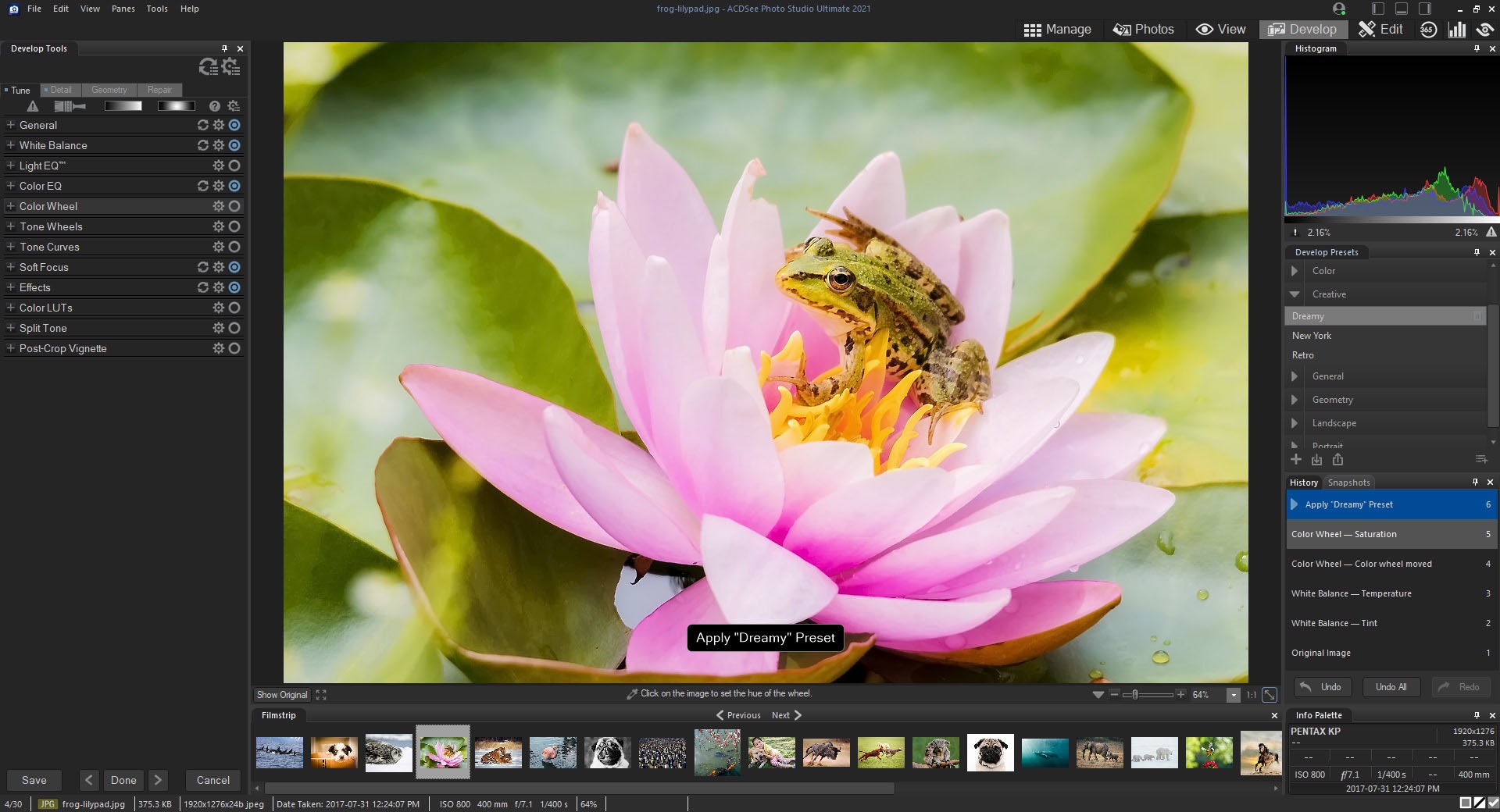 ACDSee Photo Studio Ultimate 13 Download for Free ISORIVER