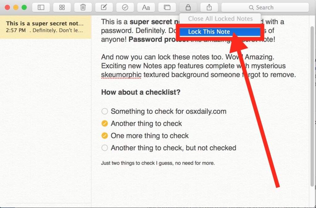 You can download Secure Notes Pro for Mac