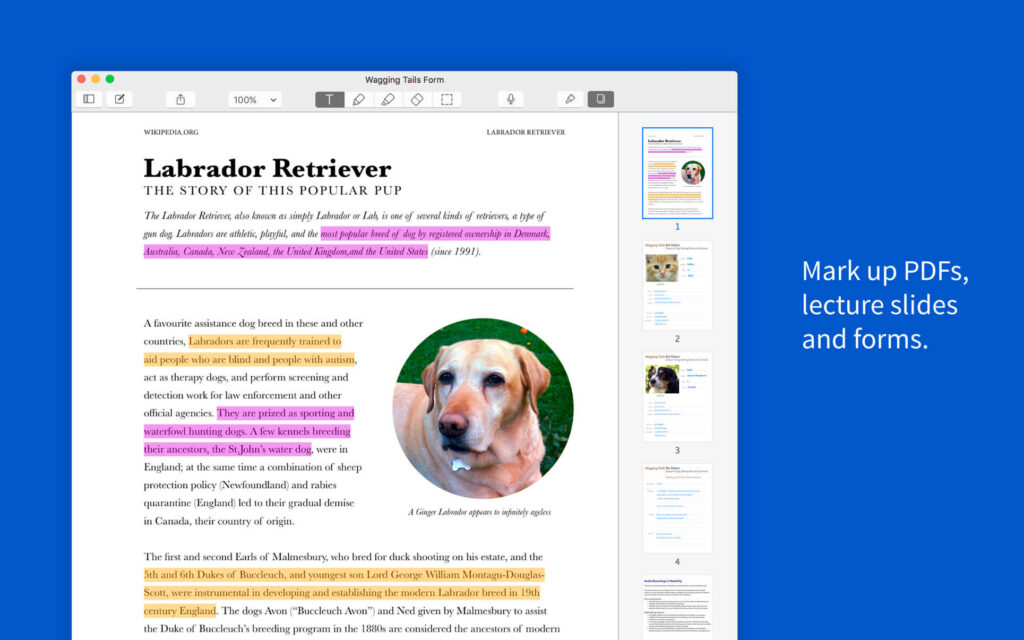 Download Notability 4.1.3 Free for Mac