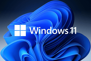 Windows 11 Insider Preview 22000.120 Released: What's New?