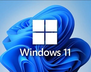 How to download Windows 11 ISO File 32/ 64 Bit