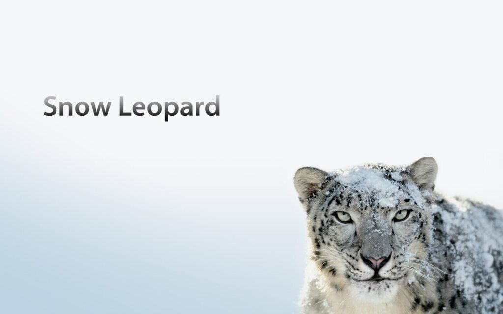 Where can i download Mac OS X Snow Leopard 10.6 for free