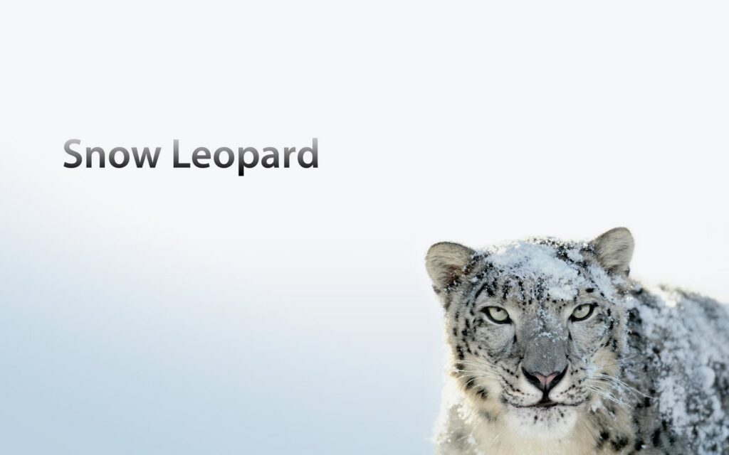 Steam Workshop::mac os x snow leopard (Updated)