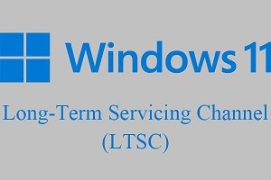 How to Download LTSC on Windows 11 - Step by Step Guide