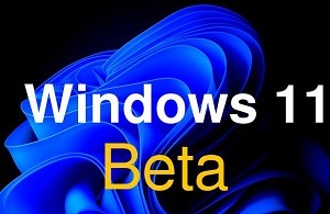 Builds 22621.586 & 22622.586 out to Beta Channel - Windows 11