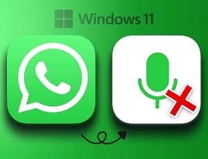 How to fix WhatsApp Microphone is not Working on Windows 11 - Complete Guide